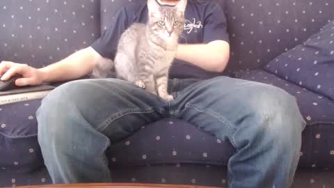 copper_crotch online show from 02/14/26, 10:28