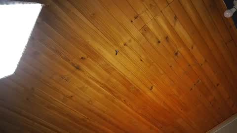 Coraline online show from 04/14/26, 12:55