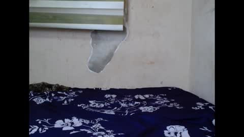 cornxslut online show from 09/15/25, 07:03