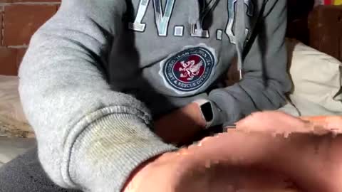 Corrado online show from 12/29/24, 08:33