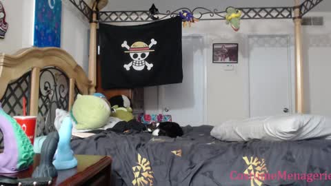 Snapshot of costumemenagerie chatting on 01/17/25, 12:20 Amethyst Cox online show from 01/17/25, 12:20