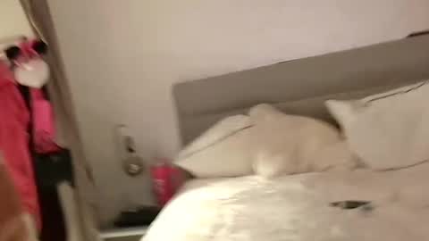 Sandra and Tom online show from 02/13/25, 06:48