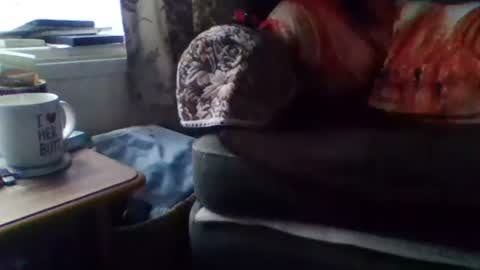 Snapshot of courieral1 chatting on 02/15/25, 08:00 courieral1 online show from 02/15/25, 08:00