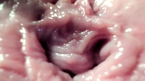 Im Courtney Nice to meet youFollow meInstagram courtneyluv778 online show from 01/22/25, 08:06