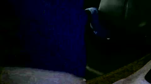 coyote017 online show from 01/31/25, 11:13