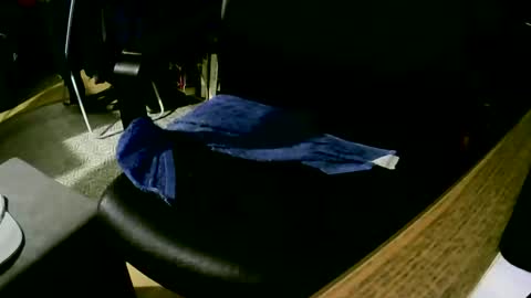 coyote017 online show from 02/09/25, 04:18