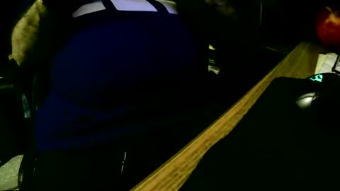 coyote017 online show from 02/19/25, 04:55