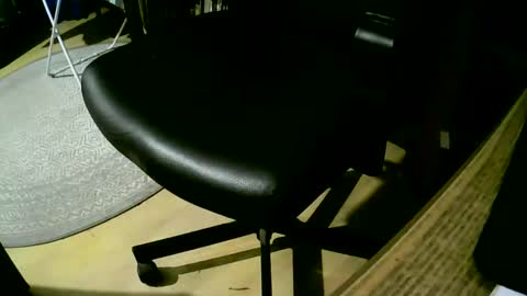 coyote017 online show from 02/25/25, 07:14