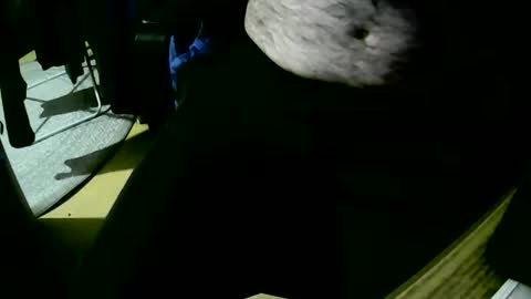 coyote017 online show from 10/22/25, 06:18