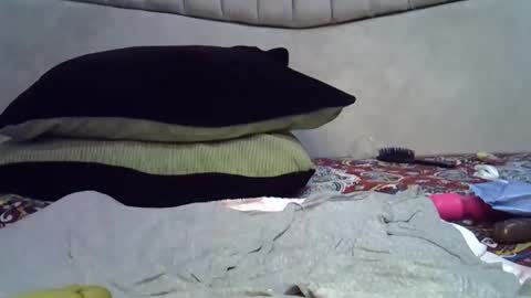 Snapshot of crammy_freaky chatting on 04/23/26, 01:18 crammy_freaky online show from 04/23/26, 01:18