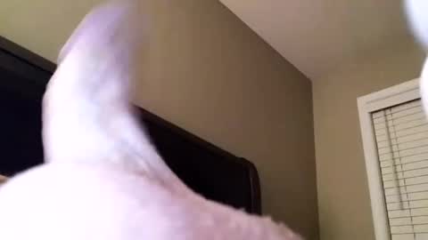 Snapshot of cranada777 chatting on 12/31/24, 01:04 Cranada777 online show from 12/31/24, 01:04