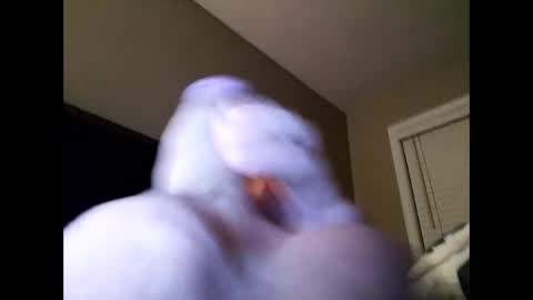 Snapshot of cranada777 chatting on 02/24/25, 01:21 Cranada777 online show from 02/24/25, 01:21