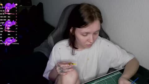 crash_test13 online show from 12/23/24, 06:33