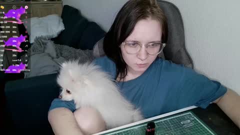 crash_test13 online show from 12/25/24, 08:51