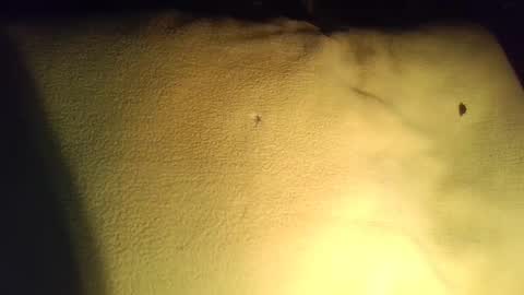 crave_me_ online show from 11/29/25, 03:53