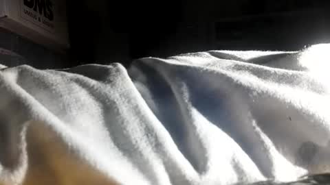 crave_me_ online show from 11/30/25, 06:28