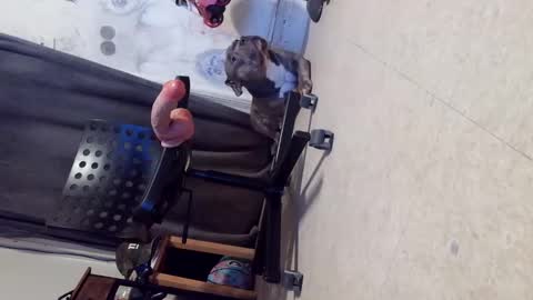 drbucknaked online show from 10/29/25, 06:15