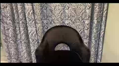 CreamOnMyCakes online show from 09/12/25, 10:04