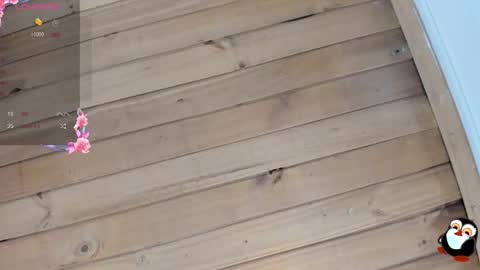 Cristal online show from 01/09/26, 04:15