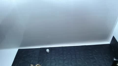 Snapshot of cristal_smith06 chatting on 12/17/24, 10:12 Hanna  online show from 12/17/24, 10:12