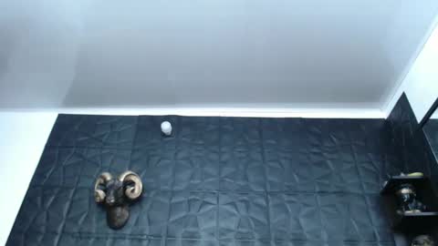 Snapshot of cristal_smith06 chatting on 02/13/25, 04:54 Hanna  online show from 02/13/25, 04:54