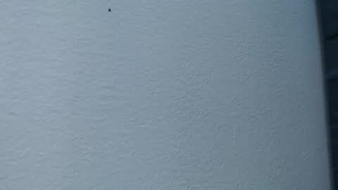 Snapshot of cristal_smith06 chatting on 02/15/25, 06:02 Hanna  online show from 02/15/25, 06:02