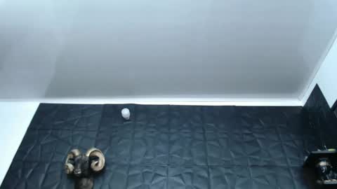 Snapshot of cristal_smith06 chatting on 02/27/25, 05:56 Hanna  online show from 02/27/25, 05:56