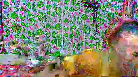 Snapshot of cristine316 chatting on 02/25/25, 05:19 cristine316 online show from 02/25/25, 05:19