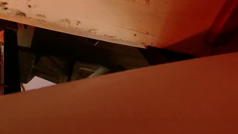 Snapshot of cryan78 chatting on 02/04/25, 08:56 cryan96 online show from 02/04/25, 08:56