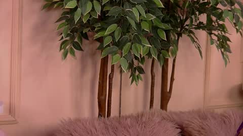 crystallred online show from 02/18/26, 06:20