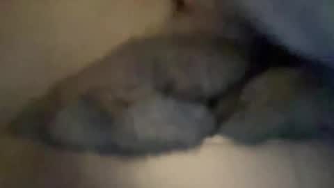 cuckgriff23 online show from 04/28/26, 02:49