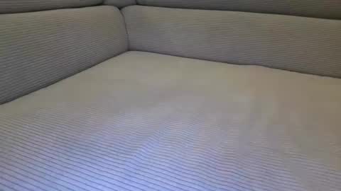 Snapshot of cuckold_2006 chatting on 04/06/26, 10:11 cuckold_2006 online show from 04/06/26, 10:11