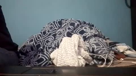 cumbian_chero online show from 07/14/26, 03:44