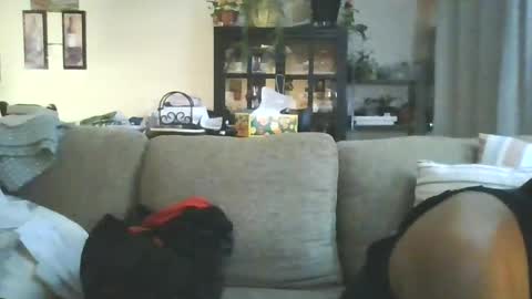 cumdumpslutfag online show from 06/11/26, 09:51