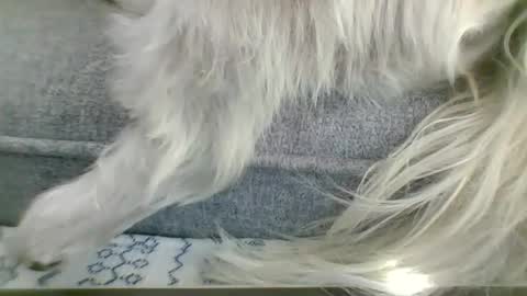 cumfestlover online show from 09/14/25, 11:26