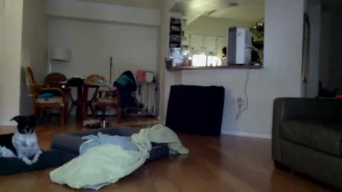 Snapshot of cumfiesta1 chatting on 01/01/25, 04:29 cumfiesta1 online show from 01/01/25, 04:29