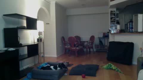 Snapshot of cumfiesta1 chatting on 02/02/25, 04:22 cumfiesta1 online show from 02/02/25, 04:22