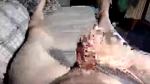 Paul online show from 10/10/25, 10:47