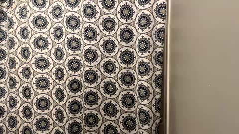 ConCon online show from 01/20/25, 12:36