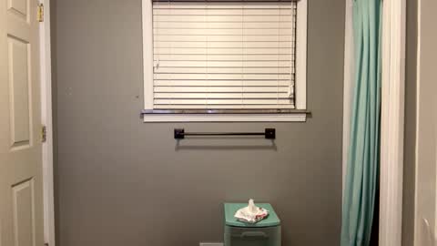 ConCon online show from 02/19/25, 03:50