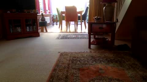 cumonherguys online show from 06/29/26, 07:25
