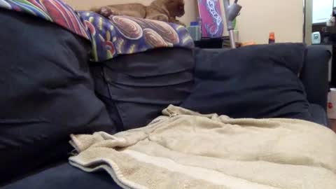 cumonover420 online show from 04/24/26, 01:41