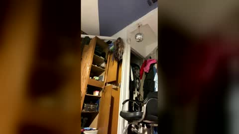 Aprilia online show from 02/02/26, 09:35