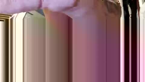 Aprilia online show from 02/05/26, 08:41