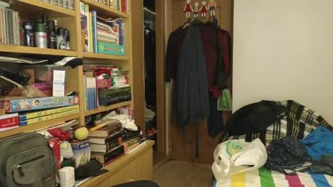 curiosillo1983 online show from 04/19/26, 10:45