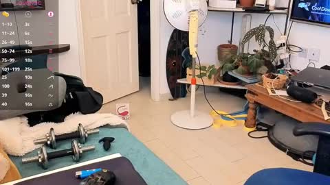 curiousgenie online show from 04/20/26, 11:02