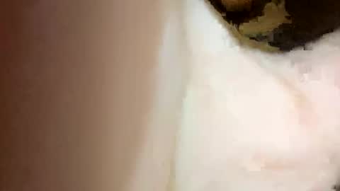 curvy24777 online show from 02/15/25, 07:06