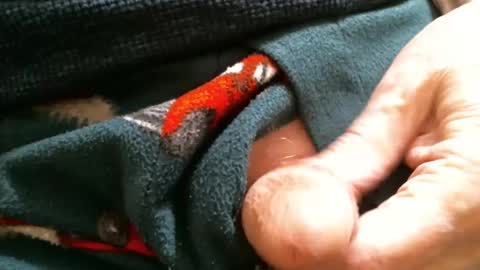 BI SMOOTH MATURE  SUB online show from 01/29/25, 02:10