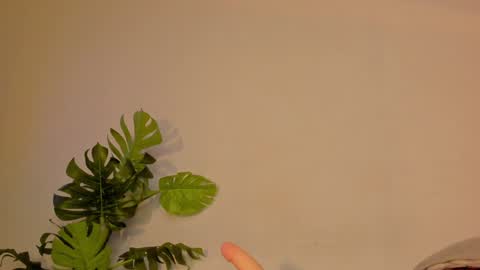 Stacy online show from 01/22/25, 03:31