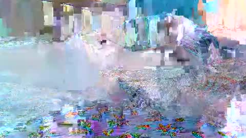 Snapshot of cute_savanna chatting on 02/11/26, 08:19 cute_savanna online show from 02/11/26, 08:19